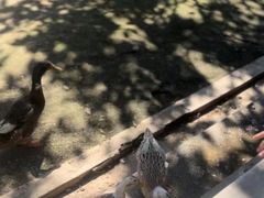 -森林公园(尖草坪区)