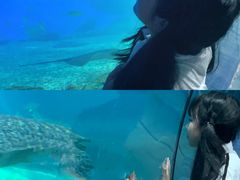 -福州罗源湾海洋世界旅游区