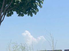 -西安浐灞国家湿地公园
