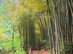 -藏龙百瀑风景区