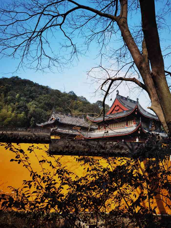 法净禅寺-"中天竺是天竺路上唯一一家不收门票的寺院.