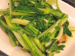 猪油渣菜心-美极鲜食坊(宝安南路店)