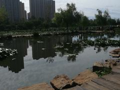-前关湿地公园