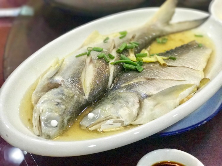 9,【清蒸章跳鱼】66元 推荐,这种鱼的鱼肉非常滑嫩,刺少,以前都吃红烧