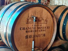 -龙谕酒庄