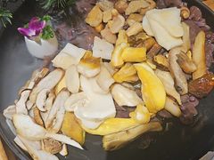 -一朵菌·野生菌探索家火锅(南亚店)
