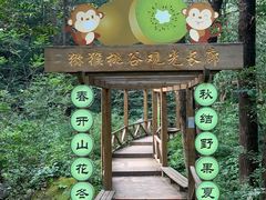 -大岭沟猕猴桃谷风景区