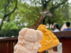 -广州长隆野生动物世界