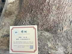 -湖畔居茶楼(湖滨店)