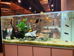 -黄鱼炙夜(华家池店)