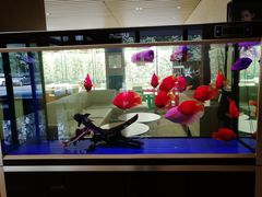 -北京临空智选假日酒店