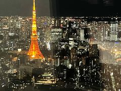 -六本木新城展望台(东京城市景观)