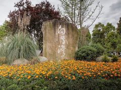 -白鹭湾湿地公园