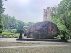 -陈家山荷花公园