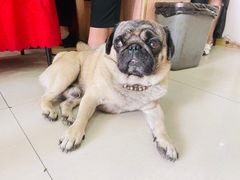 -牛叔鲜羊肉铜火锅(远东小区店)