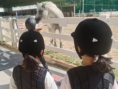 -名驭国际马术学院