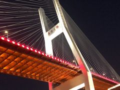 -摆渡站(董家渡站)