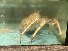 -西贝海鲜汇(槐安路店)