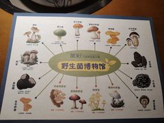 -菌彩云南野生菌火锅(万达广场店)