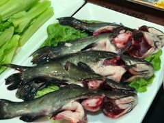 -蜀九香火锅(九眼桥店)