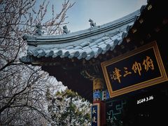 -桃花堤公园