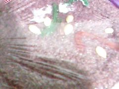 IMG0259A-阿毛方糕(七宝镇步行街店)