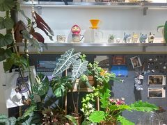 -之悦咖啡馆(新星宇·之洲店)
