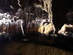 -怀托摩萤火虫洞