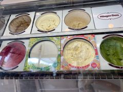 -哈根达斯(绍兴银泰店)