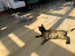 -EATALIA意塔利意式餐厅(鼓楼店)