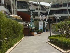 -Paulaner·德国帕拉娜自酿啤酒餐厅(海上世界店)