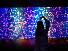 -成都浩海立方海洋公园