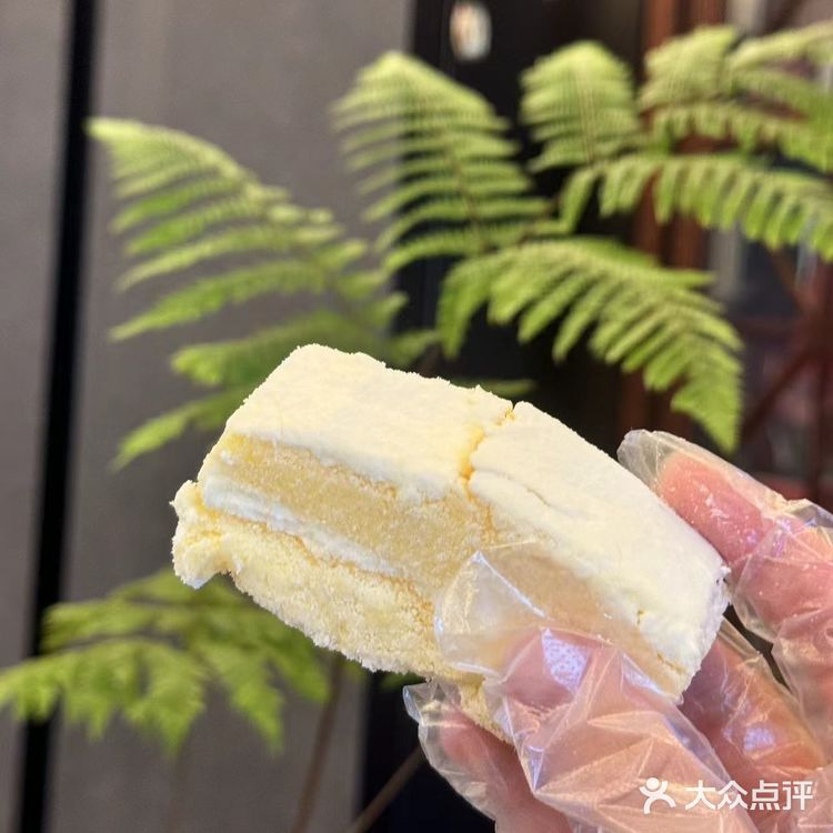 甜蜜蛋糕时刻 🍰🎂