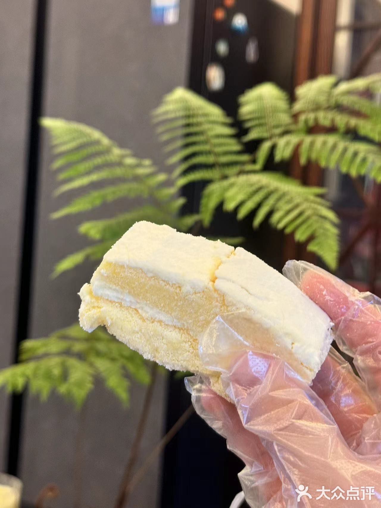 甜蜜蛋糕时刻 🍰🎂