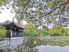 -高子水居