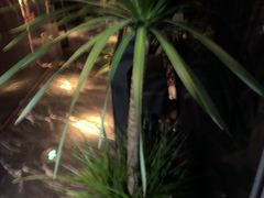 -唐宫足道·SPA·住宿24H会所(木渎店)