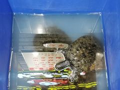 -状元甲·湖北甲鱼大王(汉口火车站店)