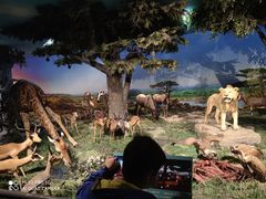 -国家自然博物馆