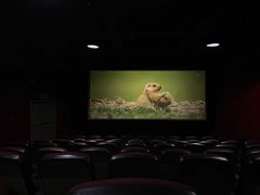 -新世纪电影城(阳光100店)