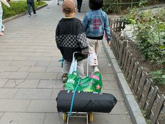 -丰台花园