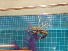 -腾阁自助餐厅(朝林广场店)
