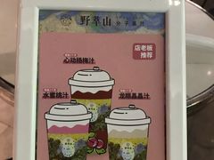 -野萃山·潮汕厚果汁(十亩地店)