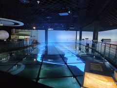 -上海长江河口科技馆