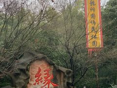-杭州黄龙洞