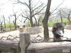 -西安秦岭野生动物园