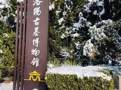 -洛阳古墓博物馆