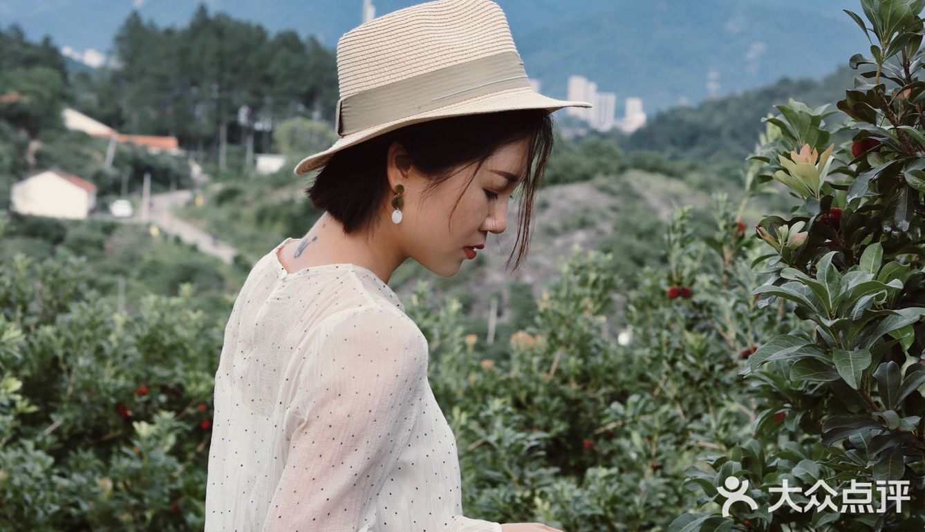 江浙沪周边游 | 又到杨梅季仙居杨梅熟了