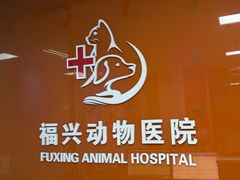 -瑞派福兴宠物医院犬猫全科·骨科·中西医结合(河东店)