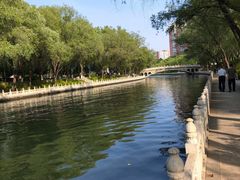 -南长河公园