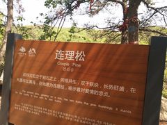 -沂蒙山旅游区云蒙景区(蒙山国家森林公园)